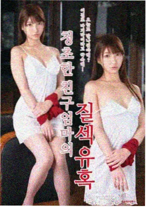 播放美国生活大片 绝望主妇