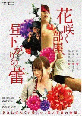 播放美国生活大片 教父